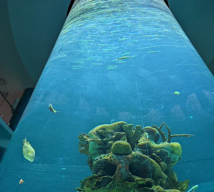 mississippi-aquarium-photo